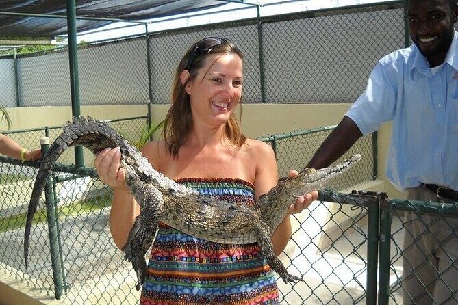 Full-Day South Coast - YS Falls, Pelican Bar & Black River Safari - The Role of Guides and Transportation