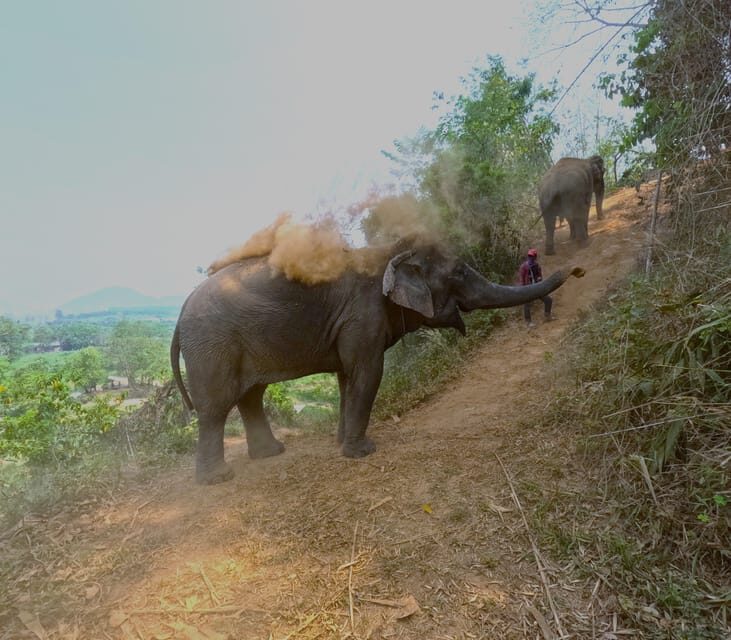 Full-day with CHIANGMAI ELEPHANT CARE and Sticky waterfall - What to Expect: The Day Unfolded