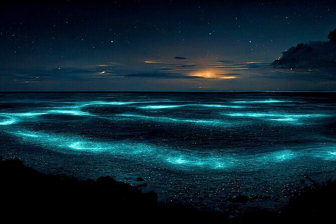 Grand Cayman Bioluminescent Bay Adventure - The Experience: Pros and Cons