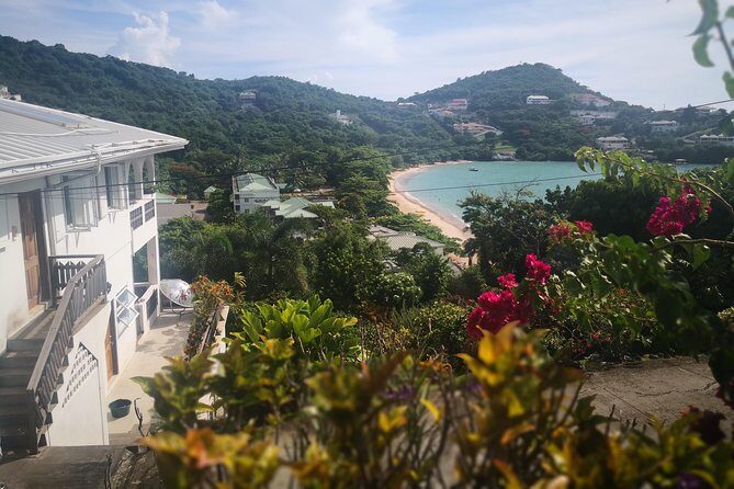 Grand Tours Grenada Call the Boss Taxi Luxurious Island Tour - Final Thoughts: Who Is This Tour Perfect For?