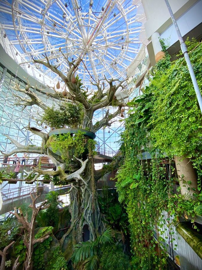The Green Planet Dubai biodome exterior showing distinctive cube-shaped building