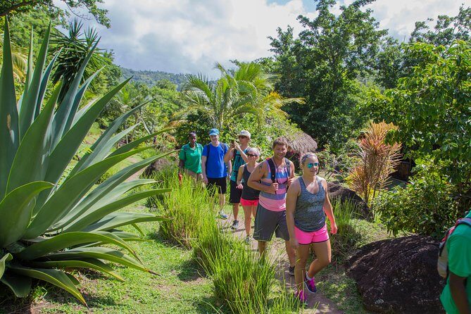 Gros Piton Hike - The Itinerary in Detail: From City Streets to Mountain Trails