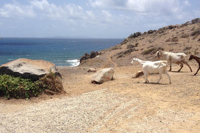 Guana Bay Coastal Hike - The Highlights: From Guana Bay to Geneve Bay