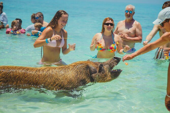 Guided All Inclusive Beach Day Excursion in Bahamas - Passing Sights and Additional Stops