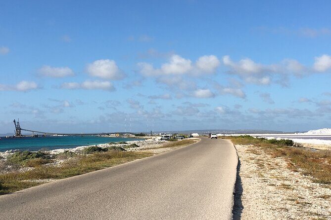 Guided Bonaire North and South Tour - What’s the Experience Like?