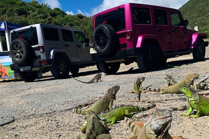 Guided Jeep Tour Exploring French and Dutch St Maarten - What the Tour Includes and What You Should Expect