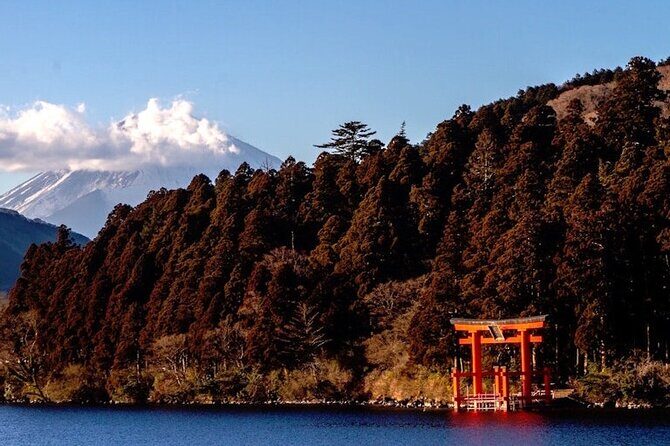 Hakone and Mt Fuji Private Custom Tour with English Guide - Analyzing the Value