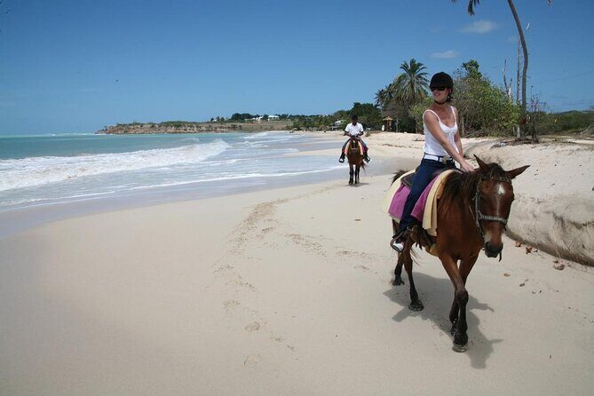 Half-Day Beach Horse Back Riding in Puerto Plata - Authentic Experiences and Real Feedback