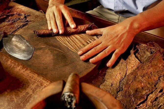 Half-Day Cultural Safari - The Value of This Tour
