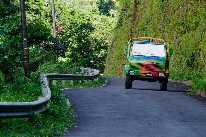 Half Day Jeep Safari - The Sum Up