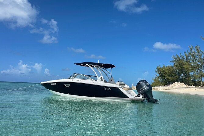 Half-Day Luxury Private Rose Island Pigs and Turtles Excursion - Practical Details