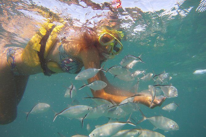 Happy Hour Sailing Cruise from Punta Cana - Analyzing the Value