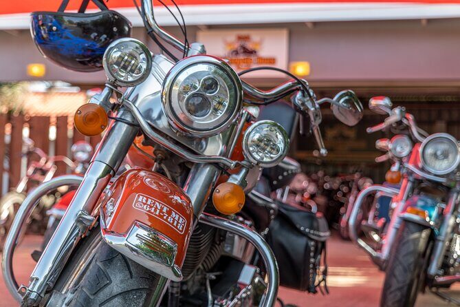 Harley-Davidson RENTALS ONLY 4 hrs - Who Will Love This Experience?