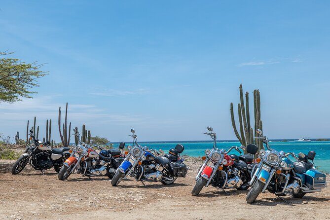 Harley-Davidson RENTALS ONLY 8 hrs - What Makes This Harley Rental Stand Out