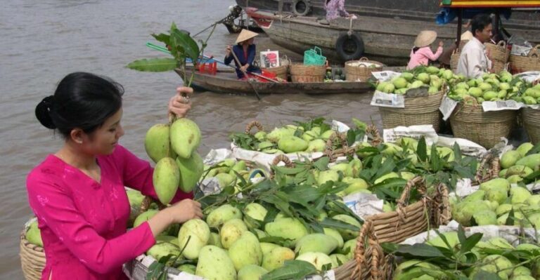 HCMC: Cai Rang Floating Market & Mekong Delta Private Tour - Why This Tour May Be Perfect for You