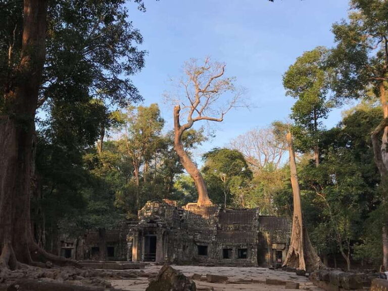 Highlights of Angkor Wat, Ta Prohm & Angkor Thom - What to Expect from the Experience