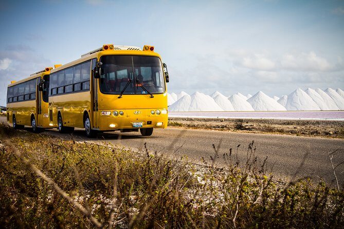 Highlights of Bonaire & Cultural Experience - What You Can Expect: A Detailed Look at the Itinerary