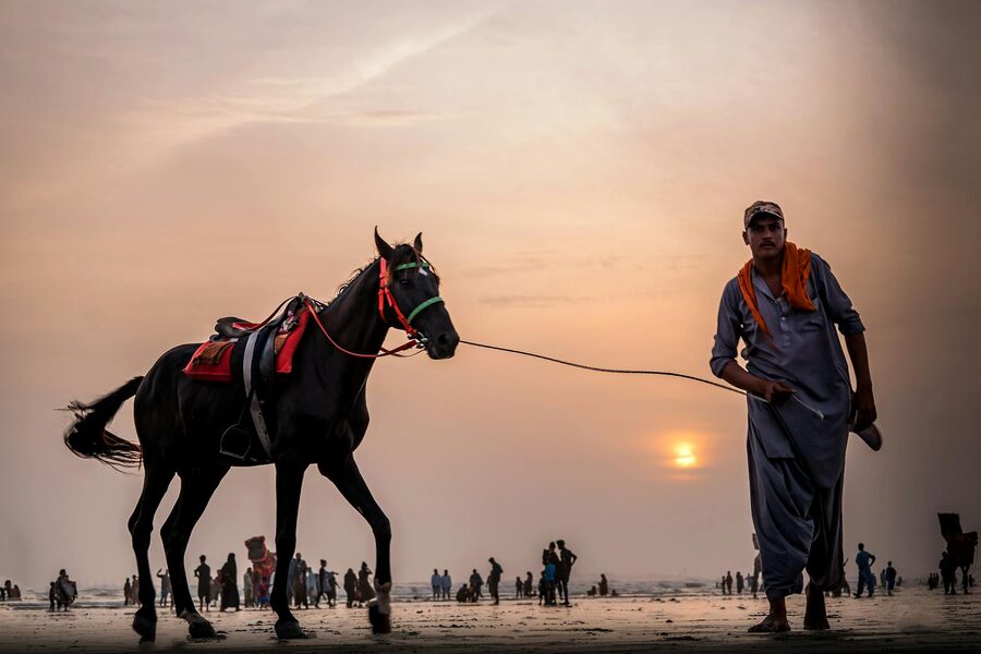 Horse on wet sandy beach