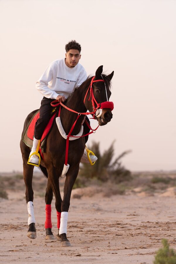 Youth riding Arabian horse in desert