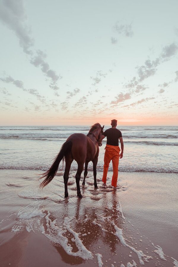 Man with horse on Essaouira beach sunset