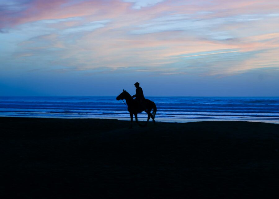 Horse and rider against ocean sunset Morocco