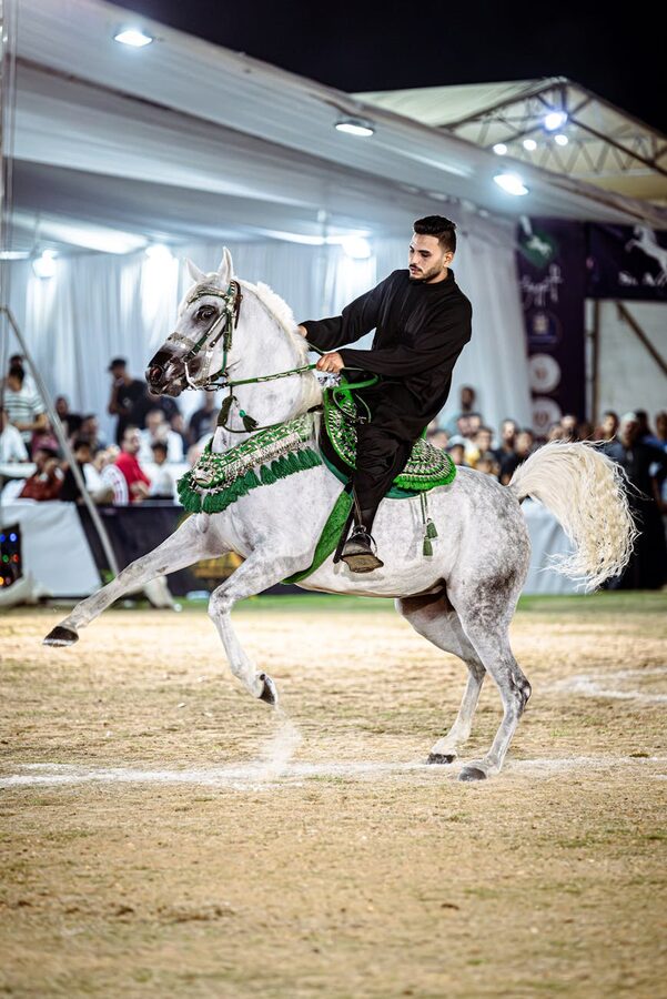 Arabian horse and rider in traditional attire