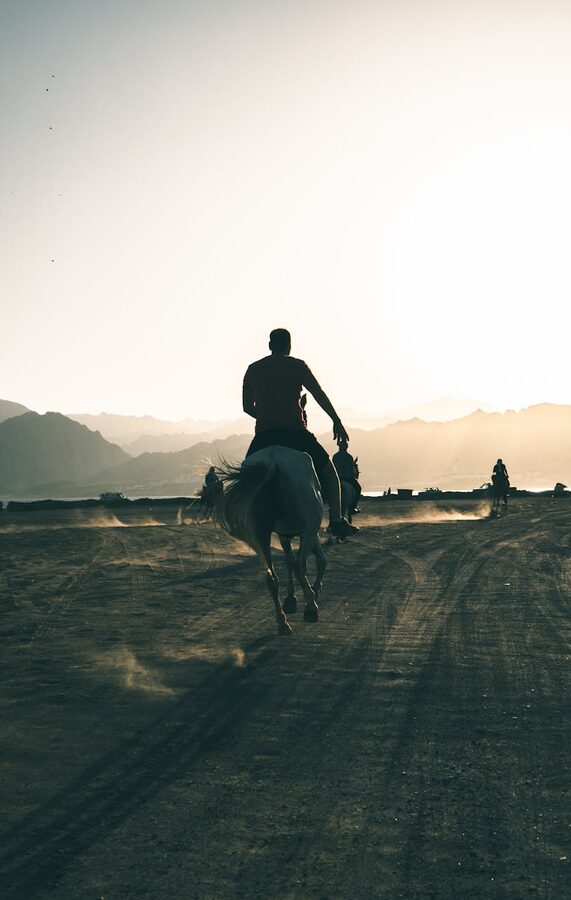 Silhouette of horse rider at sunset