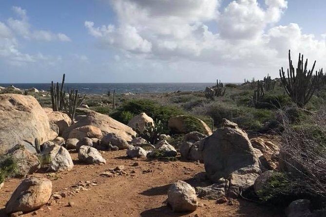 Horseback Riding 2 Hr SUNSET , Rock formation & North Coast Ride - What to Expect on Your Aruba Sunset Horseback Ride