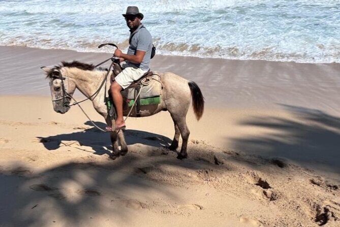Horseback Riding Experience in Punta Cana - The Ride Itself: A Visual and Sensory Delight