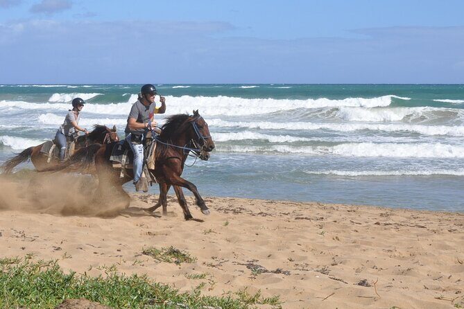 Horseback Riding Tour on the Beaches of Punta Cana - Analyzing the Value