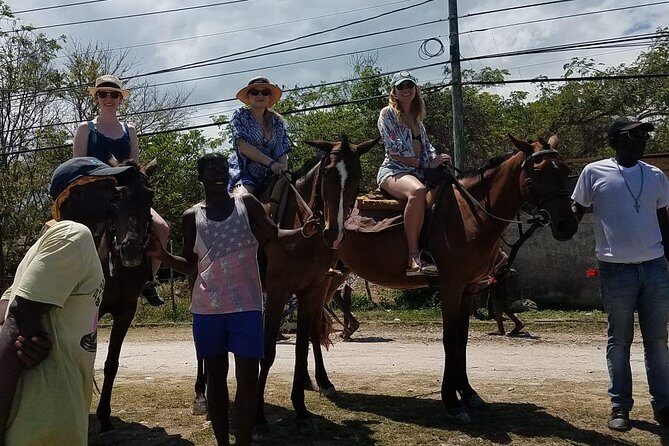 Hour Horseback Riding Guided Tour from Runaway Bay - Who Will Love This Tour?