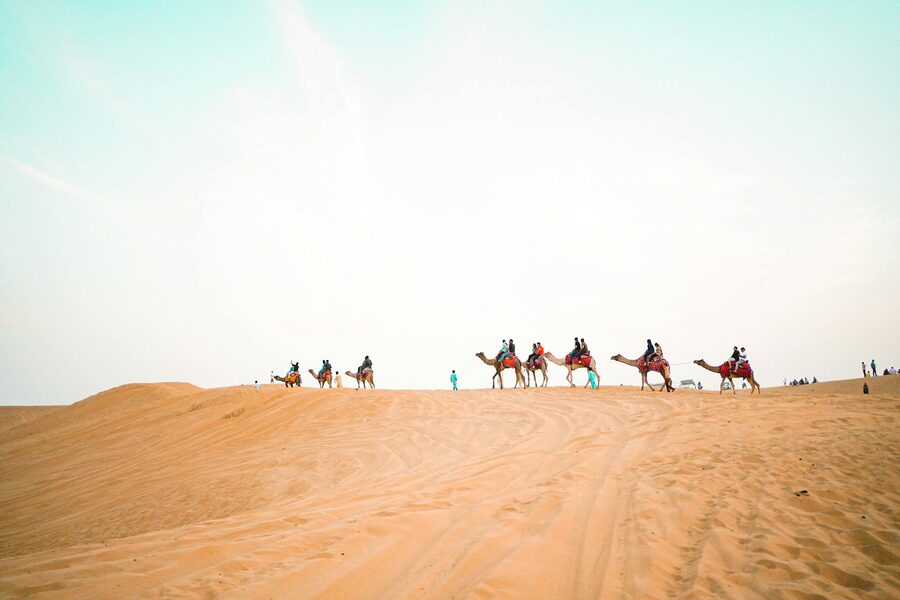 Camel caravan across desert sand dunes