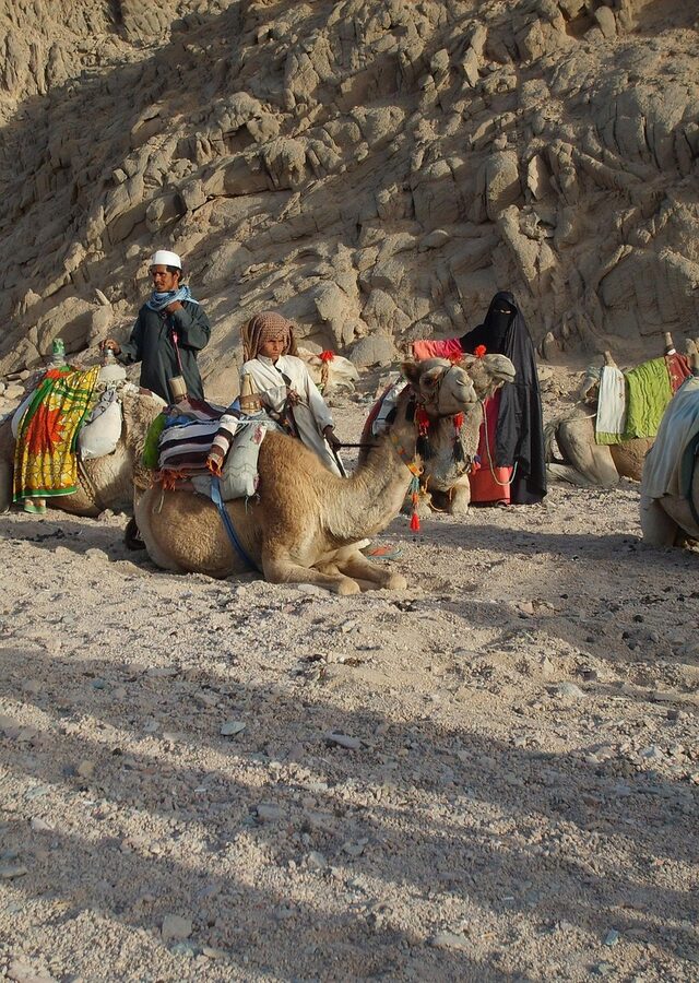 Hurghada desert nature and mountain scene with camel