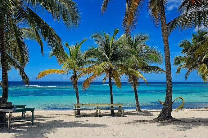 Island DE Saona: EN Small Group Tour on Trimaran Motorise - What’s Included and What’s Not