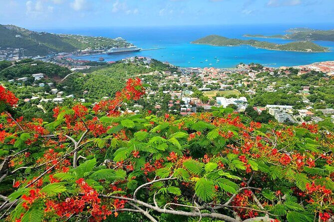 Island Life Jeep Tours - Your Day Your Way Private Excursion! - Final Thoughts