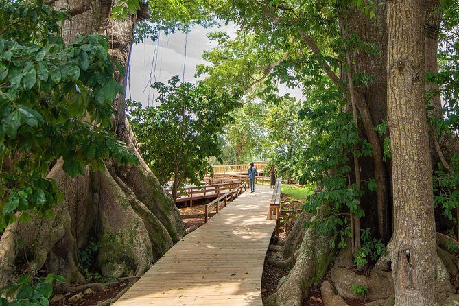Jamaica Giants sculpture park, art galleries - Who Will Love This Tour?