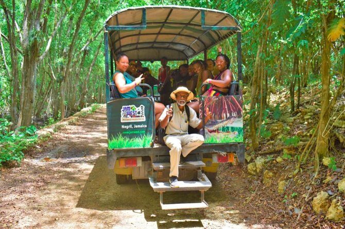 Jamwest Negril Zipline and JamCulture Combo - Getting Ready for Flight: Zipline Training and Safety