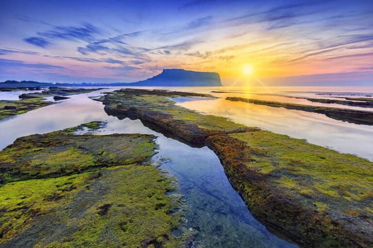 Jeju: Customized Private Vehicle Day Tour - The Itinerary: What’s Included?