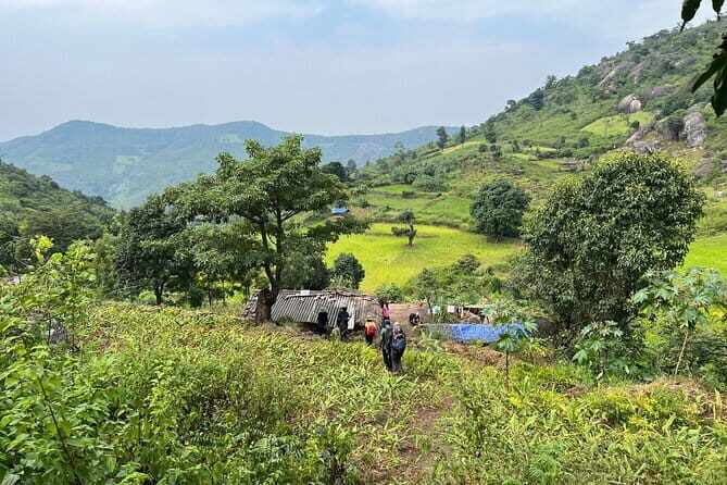 Jindhagada Trek - What Reviewers Say: Authentic Perspectives