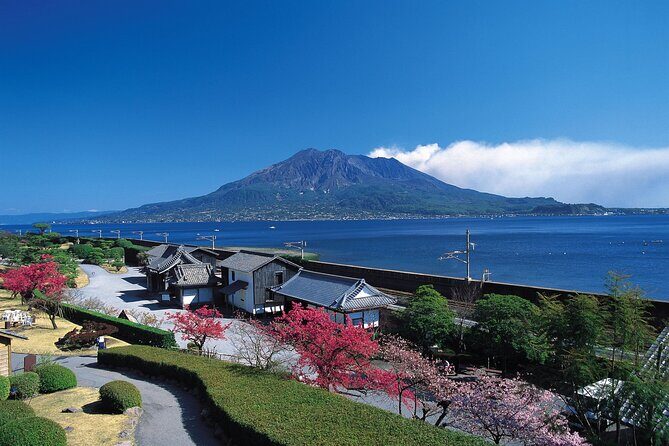 Kagoshima Highlights Private Tour, Sakurajima Volcano and more - Who Should Book This Tour?