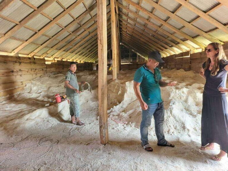 Kampot Pepper Farm, Salt Fields, Crab Market from Phnom Penh - The Experience: What We Loved and What to Consider
