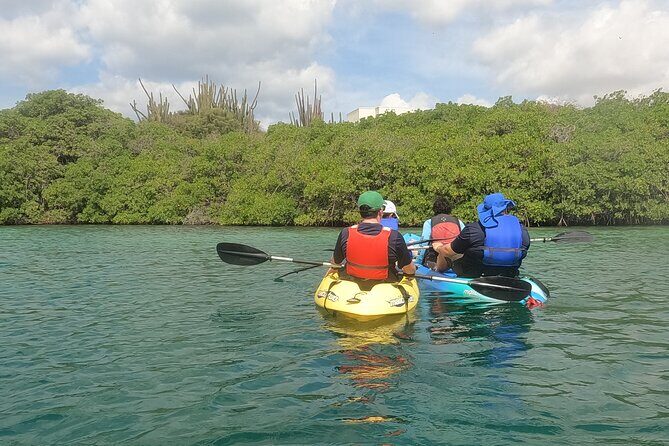 Kayak Tour at Mangel Halto and Spanish Lagoon - The Real Value of This Tour