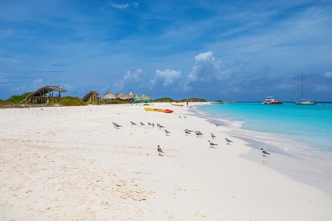 Klein Curacao Sunset Cruise with Open Bar and BBQ - Frequently Asked Questions (FAQs)