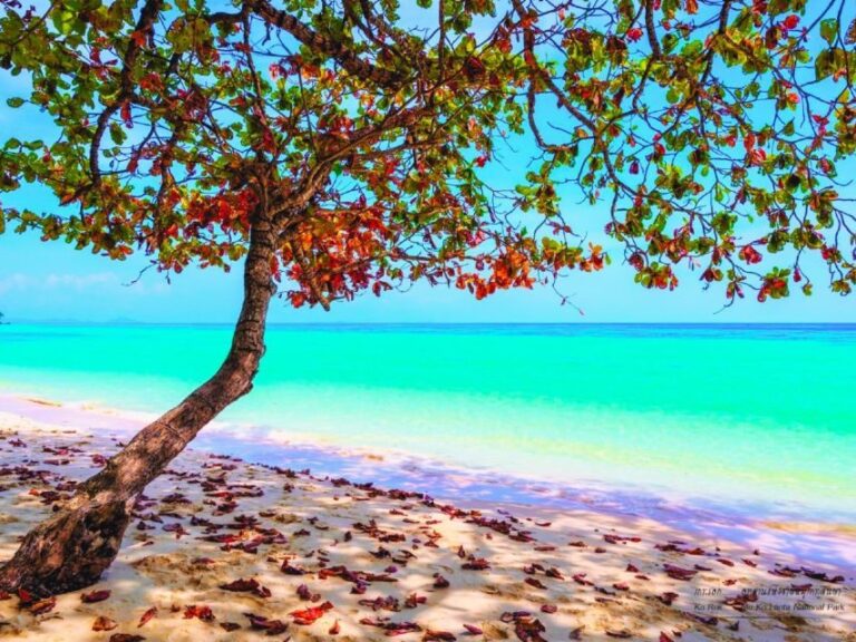 Ko Lanta: Koh Rok & Koh Haa Snorkelling Tour by Speedboat - What Its Like on the Water