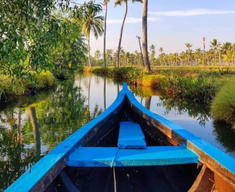 Kochi: Backwater Exploration in Village: Free Pickup & Drop - Why This Tour Is a Great Choice