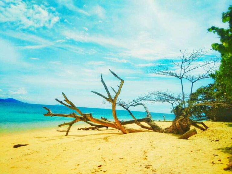 Koh Lanta: 4 Islands and Emerald Cave Snorkeling Trip - The Practicalities and Considerations