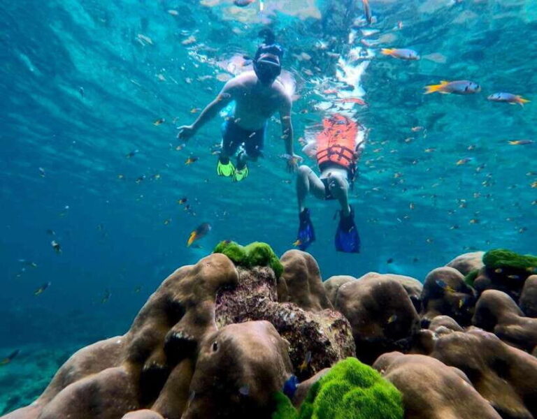 Koh Lanta: 4 Islands, Emerald Cave & Koh Kradan by Speedboat - What To Expect in Practice