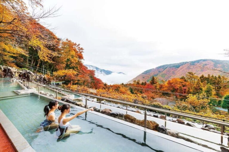Kowakien Yunessun Hot Springs Entry Ticket - The Layout and Main Attractions