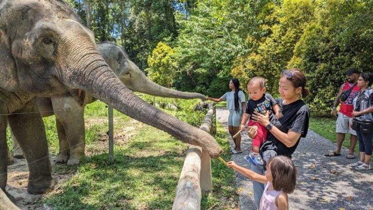 Kuala Lumpur: Batu Caves & Kuala Gandah Elephant Sanctuary - Dark Cave Option: An Extra Adventure