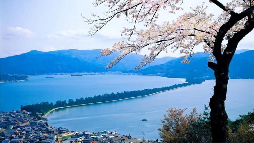 Kyoto: Amanohashidate Ine Funaya Tour - Analyzing the Value and Practicalities